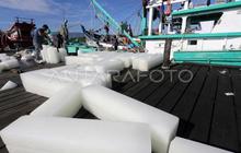 Harga Es Batangan Aceh Barat Daya Melonjak Drastis, Nelayan dan UMKM Menjerit