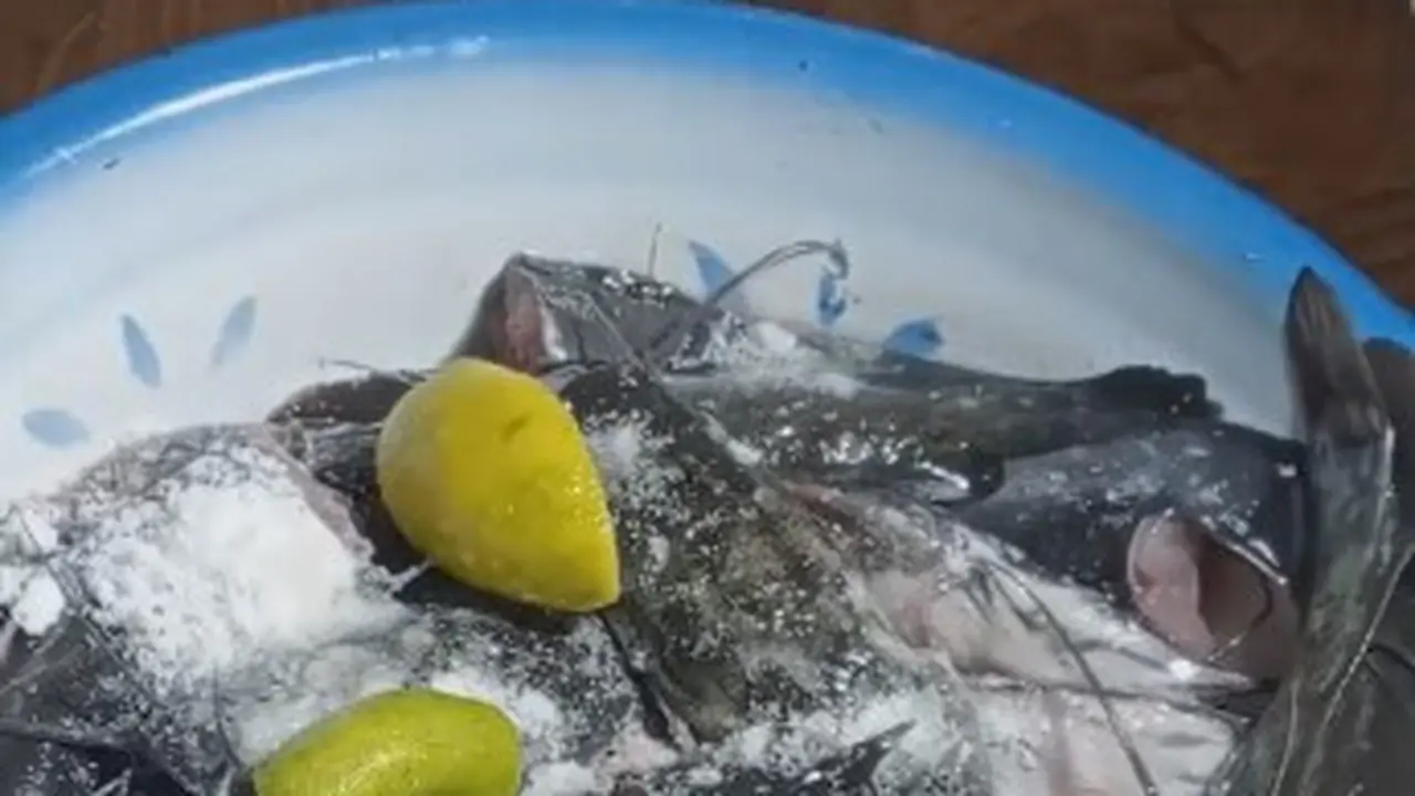 Cara mematikan ikan lele tanpa dipukul