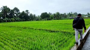 Kementan Percepat Cetak Sawah Papua Barat Lewat Skema Swakelola, Target Tanam Oktober 2026