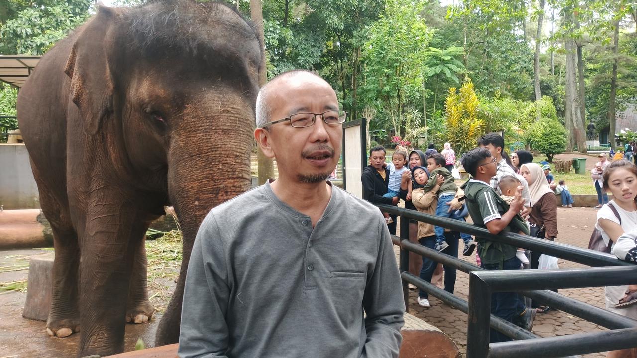 Masa Depan Bandung Zoo, Begini Tanggapan Karyawan dan Pengunjung
