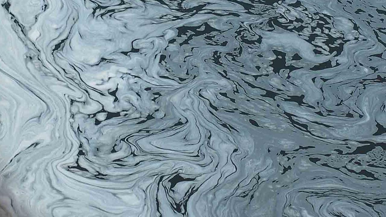 Karena itulah awal mula terbentuknya busa putih menyelimuti Kanal Banjir Timur.