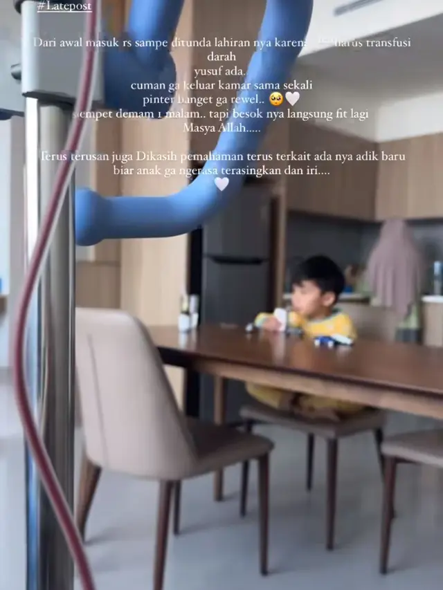 Kehamilan Kedua Larissa Chou