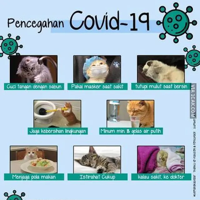 7 Meme Mencegah Virus Corona Ini Ada Benarnya