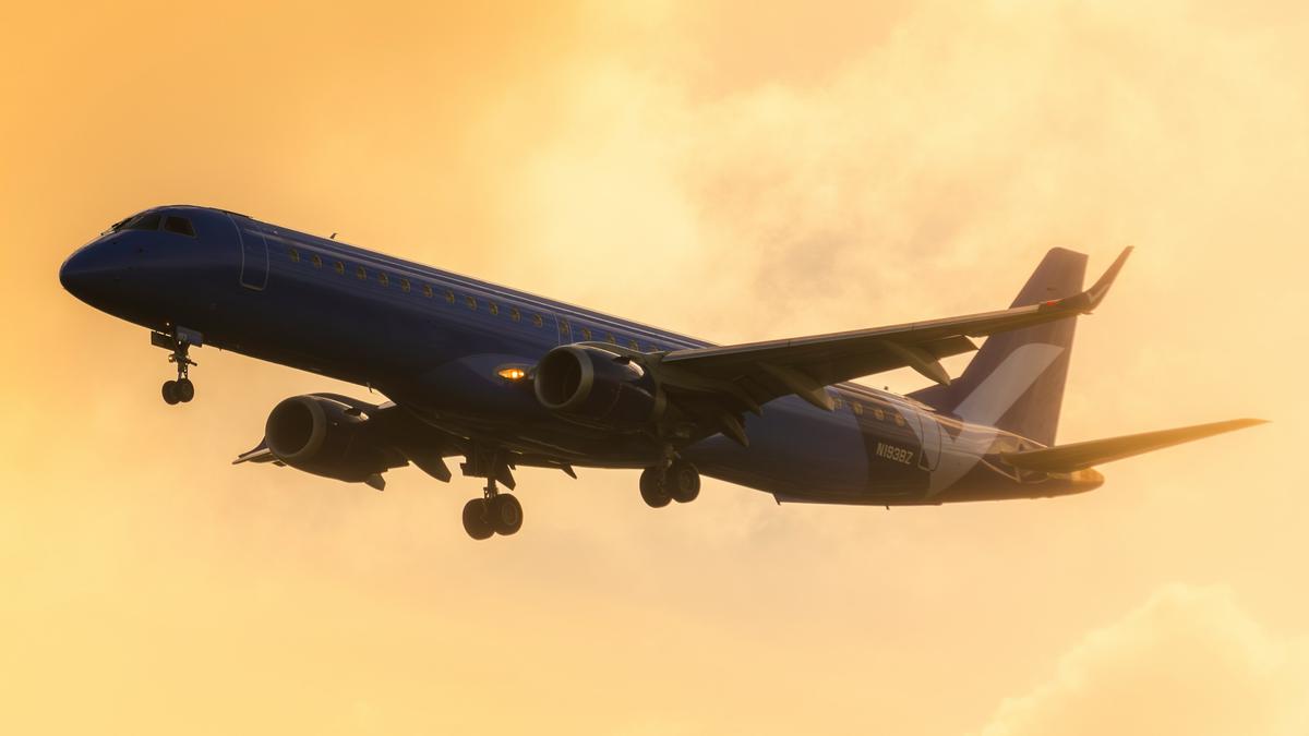 Bayi Lahir di Pesawat Menuju AS, Kewarganegaraannya Tuai Perdebatan