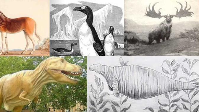 6 Binatang Ini Sangat Menakjubkan Sayang Sudah Punah Lifestyle Fimela Com