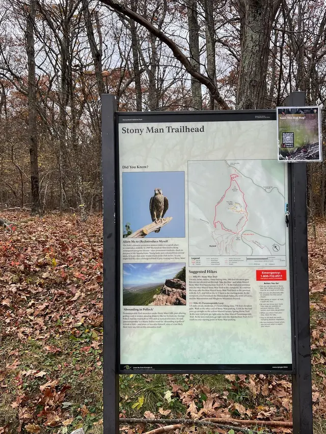 6 Momen Seru Enzy Storia dan Molen Kasetra Main ke Shenandoah National Park