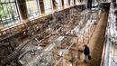 Pengunjung mengamati kerangka binatang yang ada di galeri anatomi komparatif Museum Sejarah Alam Prancis di Paris, Kamis (16/11). Museum yang menyimpan ribuan tulang belulang hewan dan benda purba ini berencana merenovasi gedungnya. (Martin BUREAU/AFP)