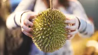 Fakta &amp; Mitos Durian dengan Kesehatan