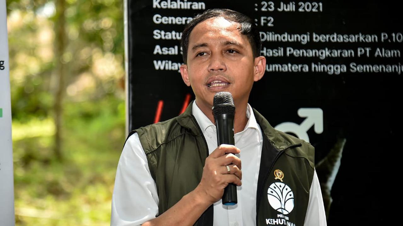 Langgar Aturan, Menhut Segel 29 Bangunan Ilegal di Bekasi dan Bogor