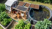 10 Usaha Ternak Kombinasi Kebun Mini untuk Konsep Mandiri Pangan, Solusi Kondisi Ekonomi Masa Kini