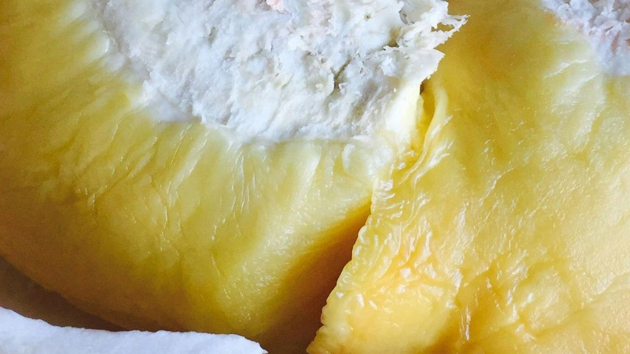 Tips Makan Durian untuk Ibu Hamil