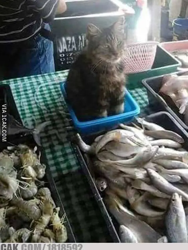 Warung Super Nyeleneh yang Hanya Bisa Ditemui di Indonesia
