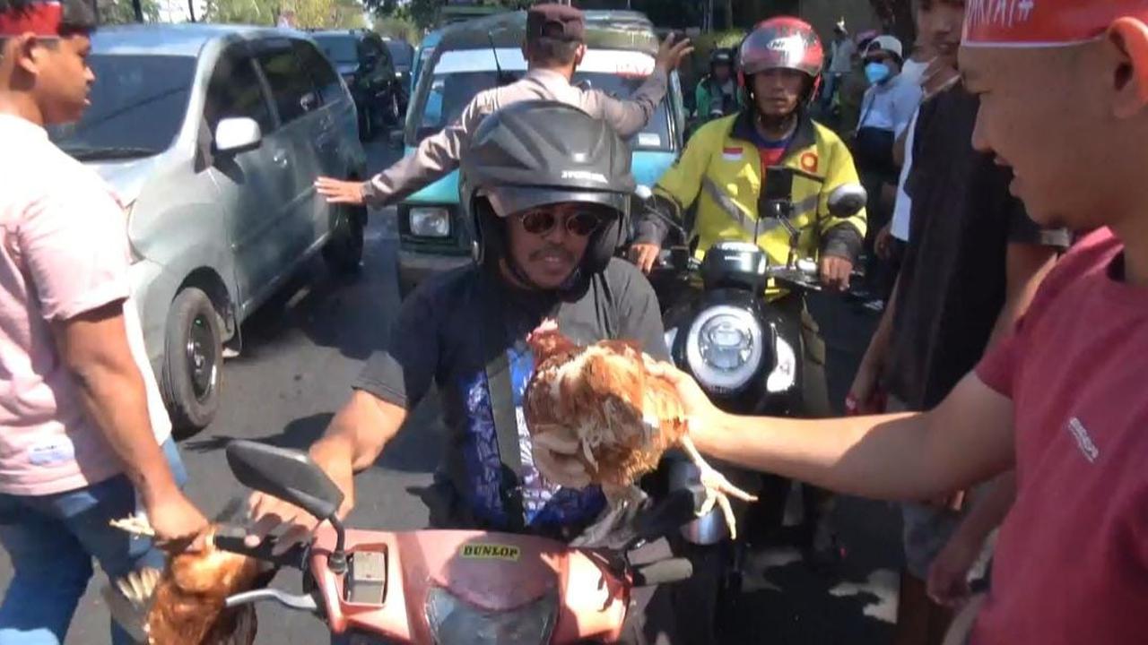 Pengusaha dan Peternak ayam peterlu di Sulsel menggelar aksi unjuk rasa