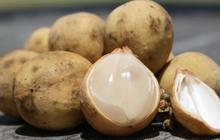 Efek Samping Makan Duku Terlalu Banyak, Bisa Menyebabkan Kadar Kalium Terganggu
