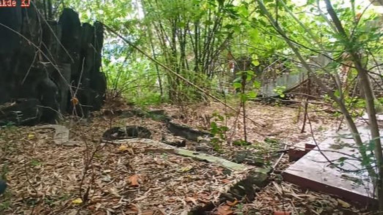 Bukan hanya kolam renang, taman belakang rumah mewah ini juga tampak sudah tertutup oleh sampah daun kering. <br>