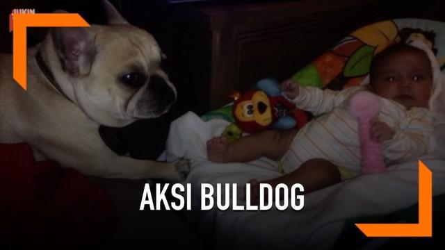 Berita Bayi Lucu Hari Ini Kabar Terbaru Terkini Liputan6 Com