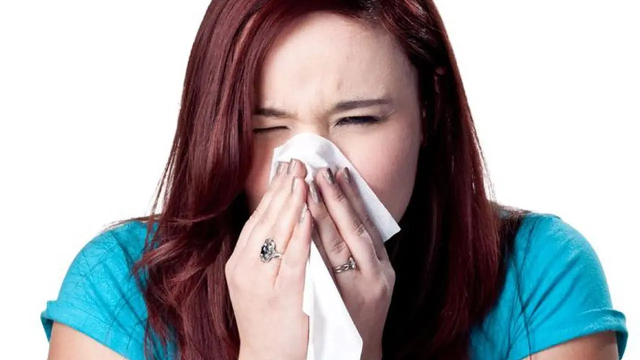 Flu Burung