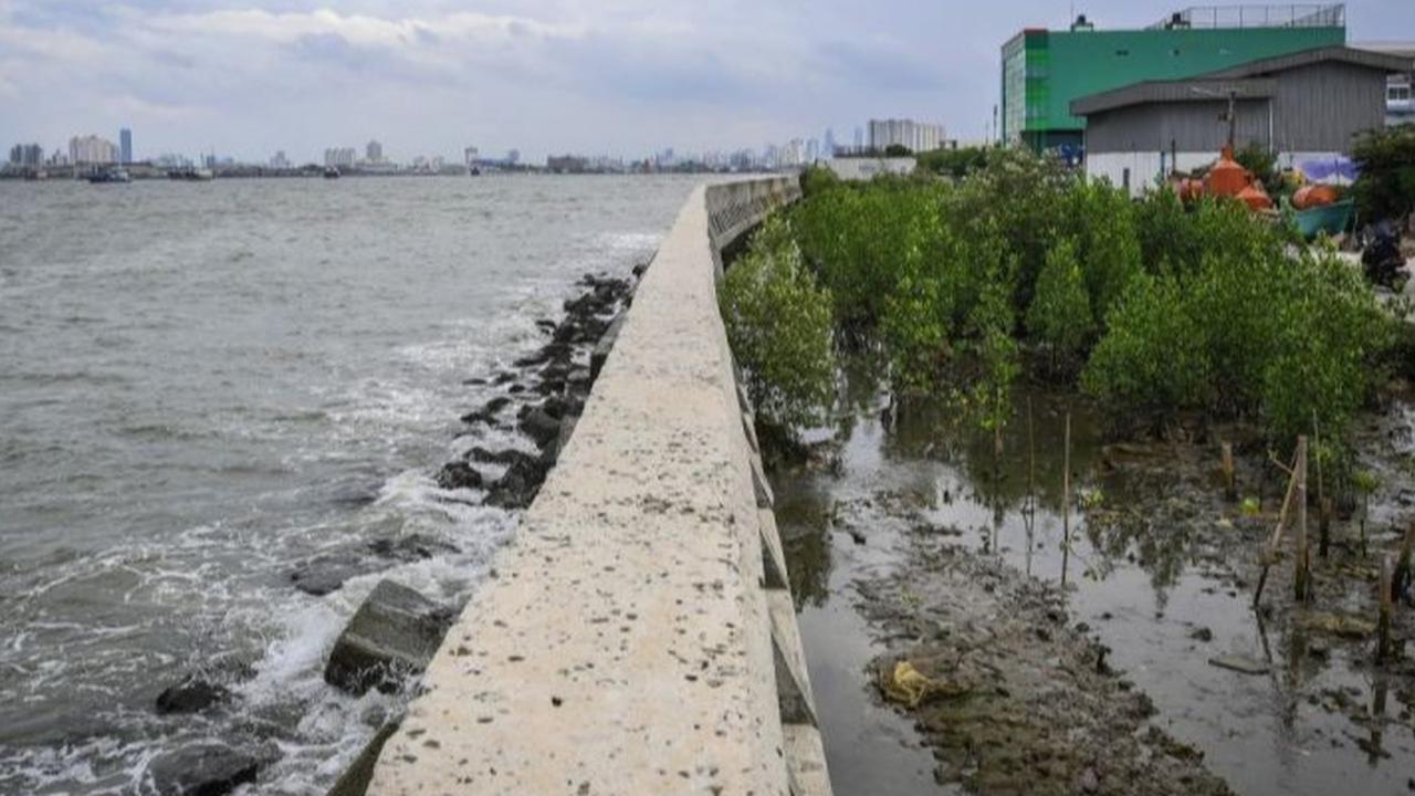 Perjalanan Panjang Proyek Giant Sea Wall di Teluk Jakarta, Kini Digas Prabowo Setelah Berkali-kali Tertunda