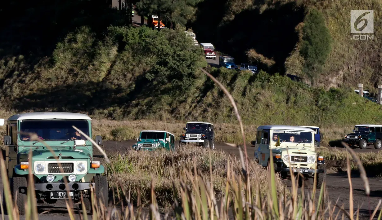 <p>Mobil Jeep membawa wisatawan melintas di kawasan Gunung Bromo, Jawa Timur, (29/7). Ratusan wisatawan berbagai daerah setiap harinya memadati kawasan Bromo untuk berwisata melihat terbitnya matahari dan juga kawah Gunung Bromo. (Liputan6.com/Johan Tallo)</p>