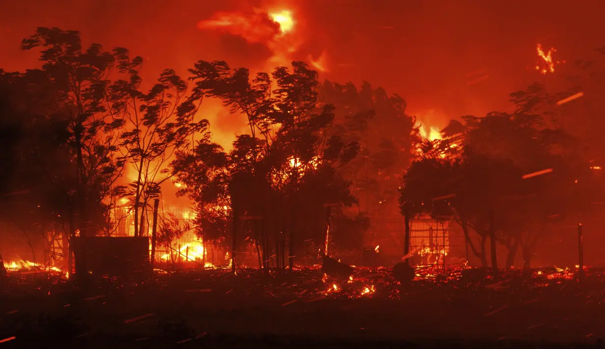 Kebakaran hutan membakar sebuah rumah di desa Avantas, dekat kota Alexandroupolis, di timur laut wilayah Evros, Yunani, Senin, 21 Agustus 2023. (AP Photo/Achilleas Chiras)