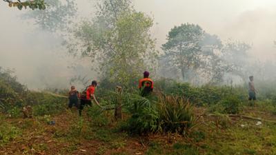 Menhut Cabut Izin 5 Perusahaan Pembakar Hutan