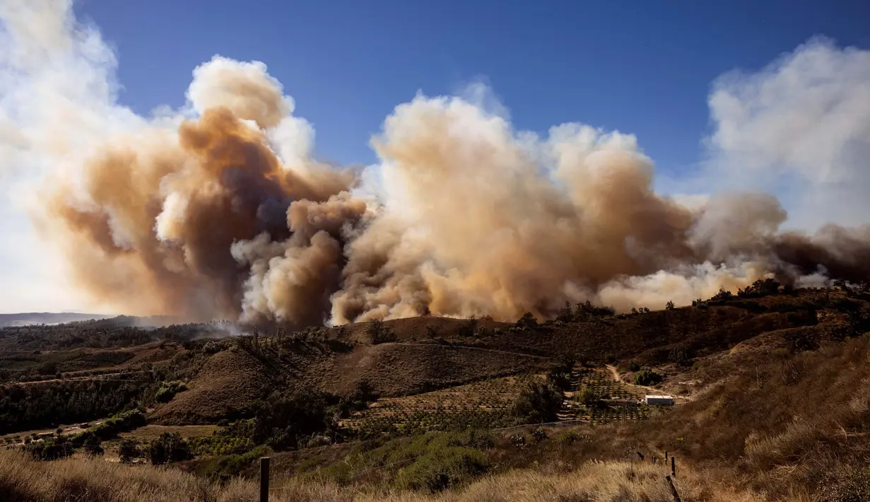 Meluasnya kebakaran gunung tersebut dipicu kencangnya hembusan angin Santa Ana. (ETIENNE LAURENT/AFP)