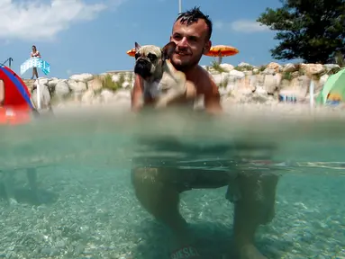 Seorang pria berenang bersama anjingnya di pantai anjing dan bar di Crikvenica, Kroasia, (12/7). Pantai dan bar ini dirancang khusus untuk para anjing dan pemiliknya demi merasakan kenikmatan Summertime bersama-sama. (REUTERS/Antonio Bronic)