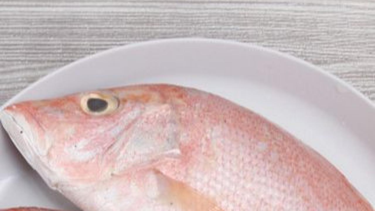 <b>1. Ikan Kakap Merah</b>