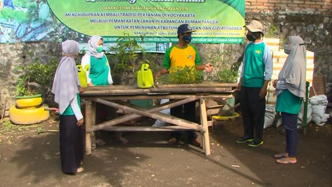 Warga di RT 11, Jatimulyo, Yogyakarta memulai cocok tanam mereka dengan modal seadanya. Barang seadanya seperti botol bekas pun dimanfaatkan untuk membuat lorong sayur mereka. (Foto: Liputan6.com)