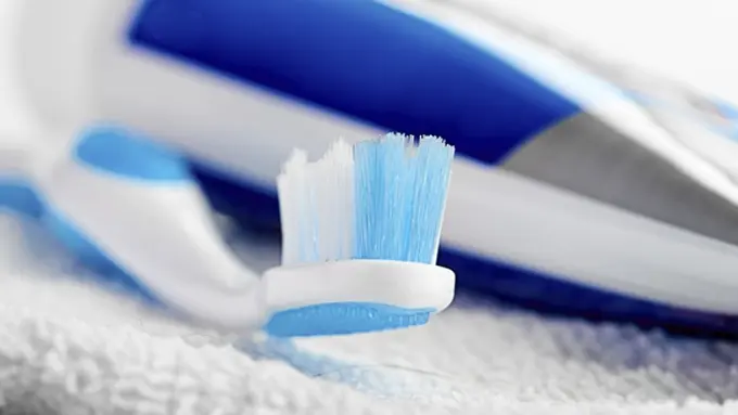 Foto: copyright Thinkstockphotos.com