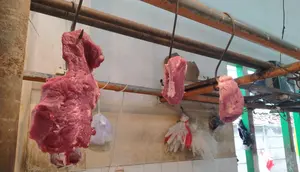 Harga Daging Sapi dan Ayam Hari Ini Stabil di Pasar Gondangdia
