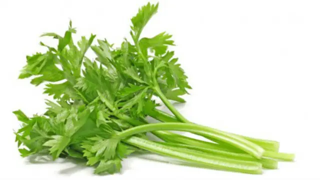 Selain bumbu rempah, beberaia jenis daun-daunan membuat masakan Indonesia lebih terasa nikmat.
