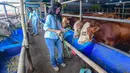 Kehadiran mereka menarik perhatian pengunjung yang datang untuk mencari hewan kurban. Tampak dalam foto, beberapa Sales Promotion Girl (SPG) dengan mengenakan kostum ala pramugari menunjukkan hewan qurban di Mall Hewan Qurban H. Doni, Depok, Jawa Barat, Senin (11/5/2026). (merdeka.com/Arie Basuki)
