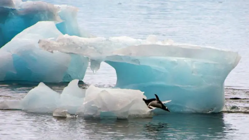 Ilustrasi melelehnya lapisan es di perairan Antartika.