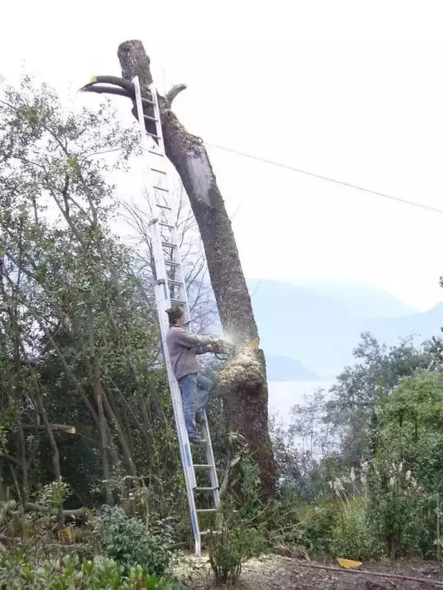 7 Momen Apes Karena Lupa Ini Bikin Tepuk Jidat, Ada yang Bikin Kamar Membeku