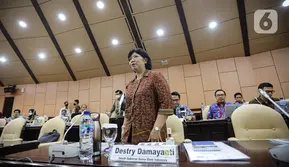 Profil Destry Damayanti, Calon Tunggal Gubernur Bank Indonesia Pilihan Prabowo