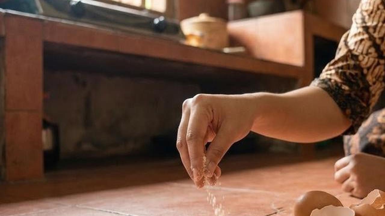 3 Cara Membasmi Sarang Kecoak yang Aman, Efektif di Area Dapur dan Kamar Mandi