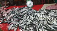 Lapak ikan di Kota Gorontalo (Arfandi Ibrahim/Liputan6.com)