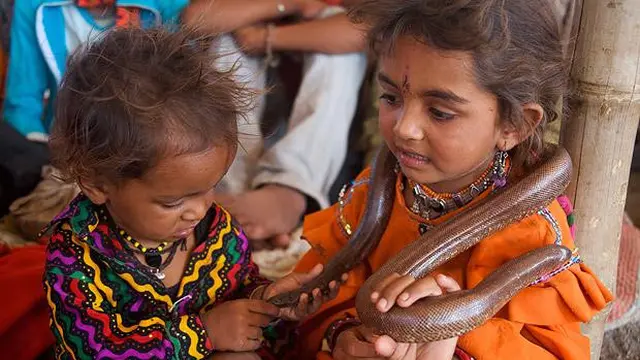 Suku Vadi India