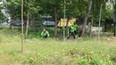 Petugas membersihkan rumput di kawasan Waduk Cincin, Jakarta, Selasa (8/1). Pemerintah Kota Administratif Jakarta Utara berencana menata kawasan Hutan Kota Waduk Cincin yang berlokasi di kawasan Sunter, Jakarta Utara. (Liputan6.com/Herman Zakharia)