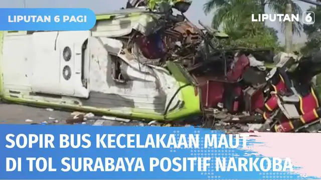 Sopir bus dalam kecelakaan maut di Tol Surabaya-Mojokerto yang menewaskan 14 orang terindikasi positif narkoba. Diketahui, sopir juga ternyata belum memiliki SIM.