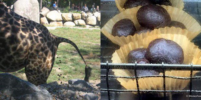 berbentuk kotoran jerapah | copyright Seventeen.com