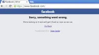 Facebook sempat tidak bisa diakses selama sekitar 14 menit. Lucunya, pengguna malah mengecam jejaring sosial tersebut lewat Twitter