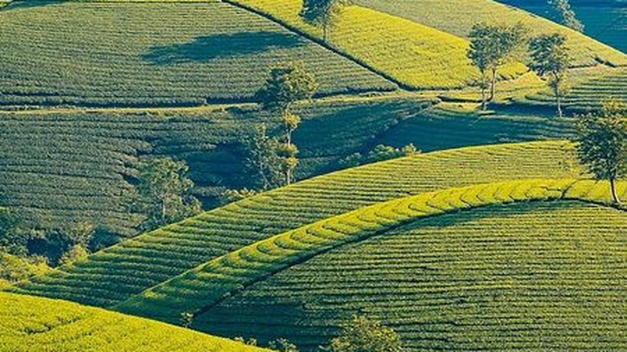 Wisata Boyolali Terbaru, Destinasi Liburan yang Asri dan Terjangkau