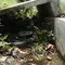 Cara Mengamankan Lubang Saluran Air di Halaman agar Tidak Menjadi Tempat Persembunyian Ular
