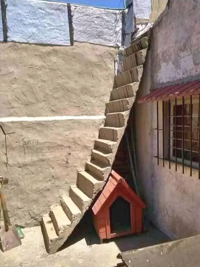 6 Desain Tangga Ini Absurd Banget, Bikin Takut Melewatinya