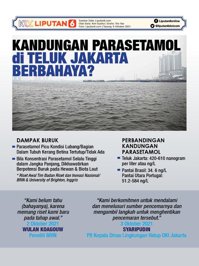 Infografis Kandungan Parasetamol di Teluk Jakarta, Berbahaya? (Liputan6.com/Trieyasni)