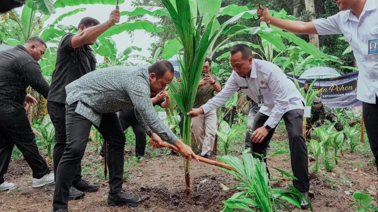 Trivia: Pohon Kelapa Serbaguna, Wabup Badung Dukung Ketahanan Pangan Nasional Lewat Penanaman Bibit