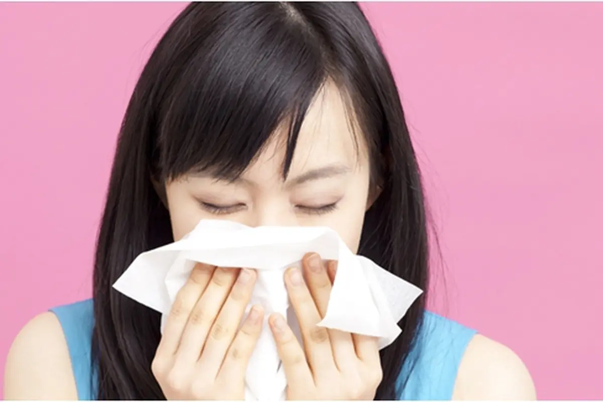 Foto: Copyright Shutterstock.com