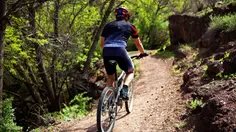 Saatnya Gowes, Intip Sepeda Gunung Terbaik untuk Temani Santai di Akhir Pekan